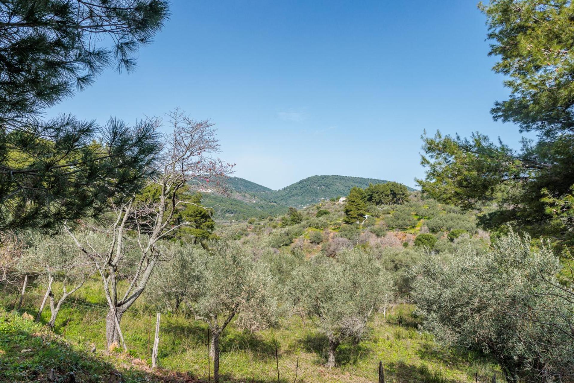 Elli Cottage Skopelos Town Bagian luar foto