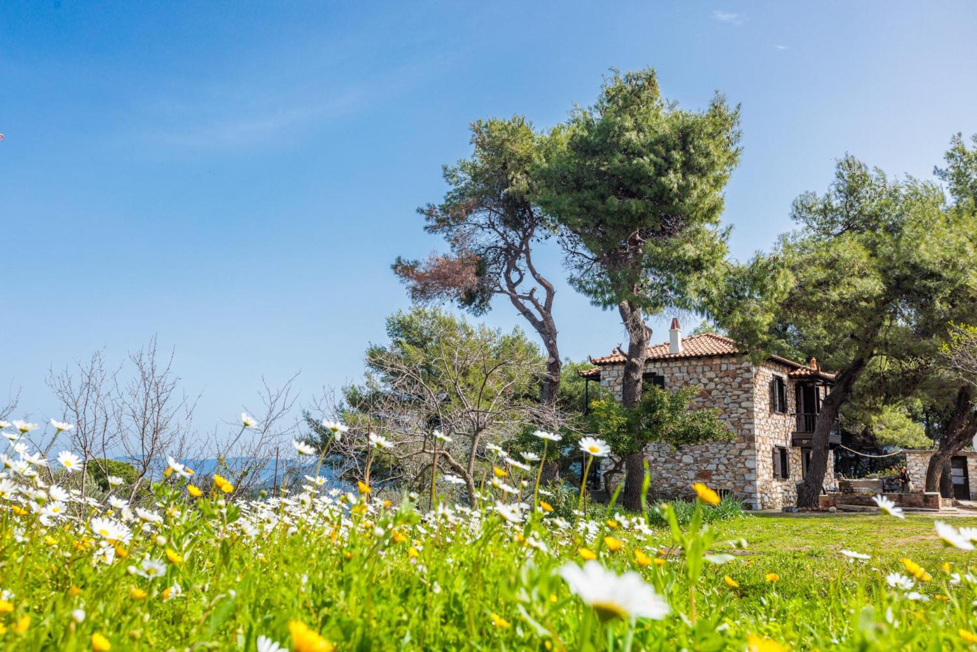 Elli Cottage Skopelos Town Bagian luar foto