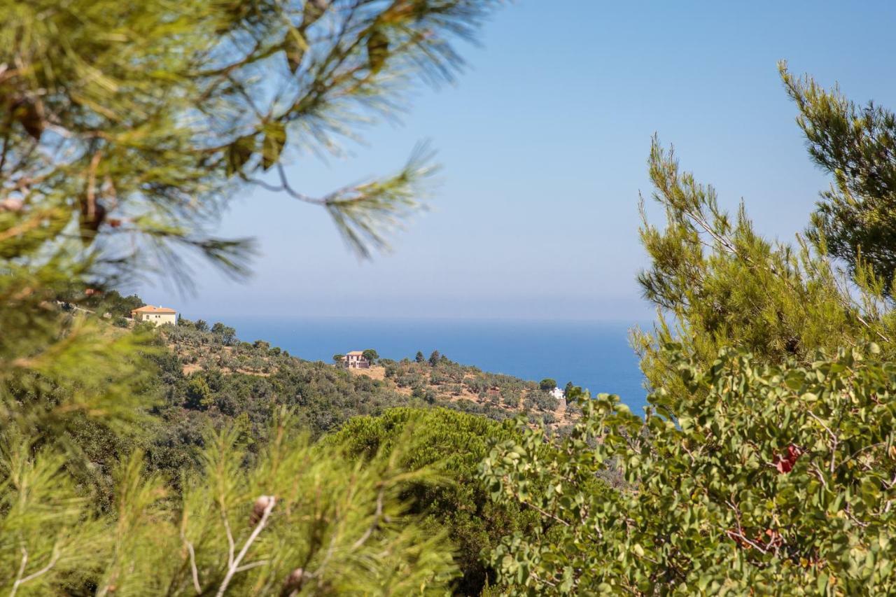 Elli Cottage Skopelos Town Bagian luar foto